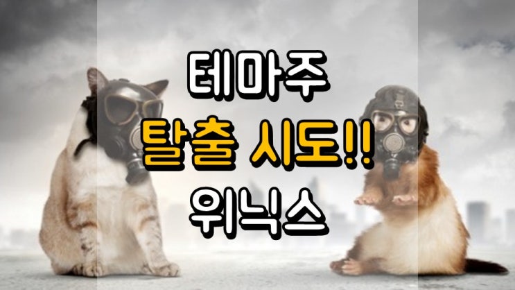  테마주 탈출 시도!! 위닉스 - 주가 전망, 배당 정보, 황사 관련주, 미세먼지 관련주