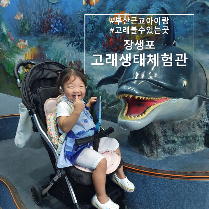  부산근교 아이랑 고래가 있는 "장생포고래생태체험관"