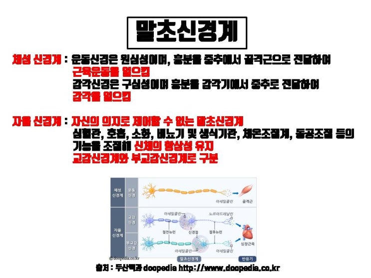  눈매교정을 하면 부작용으로 두통은 반드시 생길까?