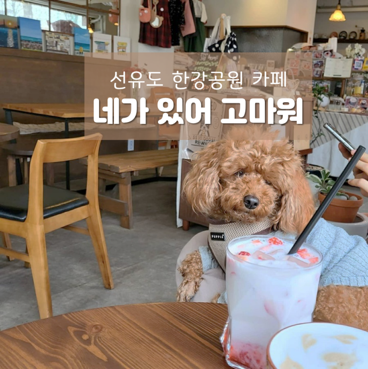  양화한강공원 카페 네가있어고마워 ; 애견동반 가능한 감성있는 선유도 카페
