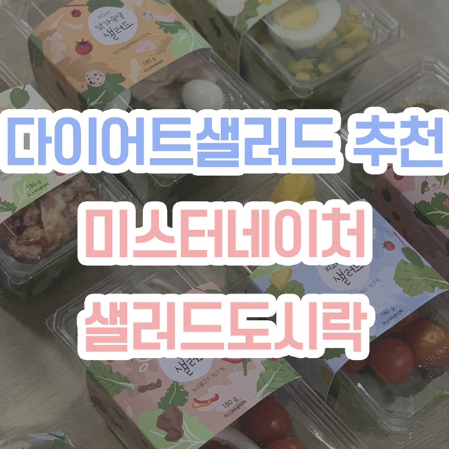 [샐러드도시락추천] 미스터네이처, 샐러드도시락
