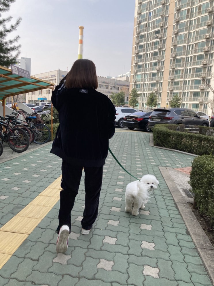  아침산책&밤산책