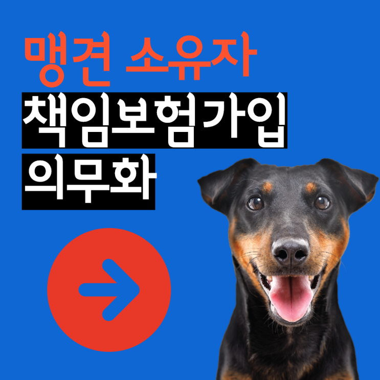  맹견도 누군가의 가족입니다. 책임보험으로부터 지켜주세요.
