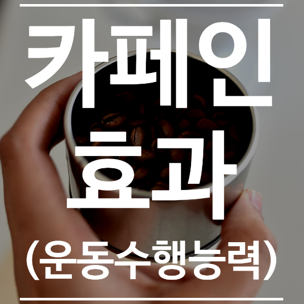  카페인 운동수행능력간의 관계 2021 트렌드