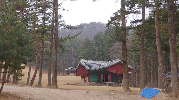 [경기 파주] 소령원 - 숙빈 최 씨와 영조의 어머니에 대한 효심