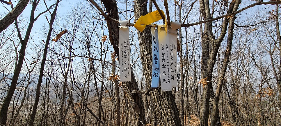물오리산 사진 6