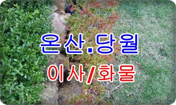 온산용달 진하 덕하. 온산용달 진하 덕하.