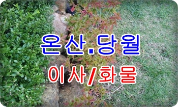 온산용달 진하 덕하.