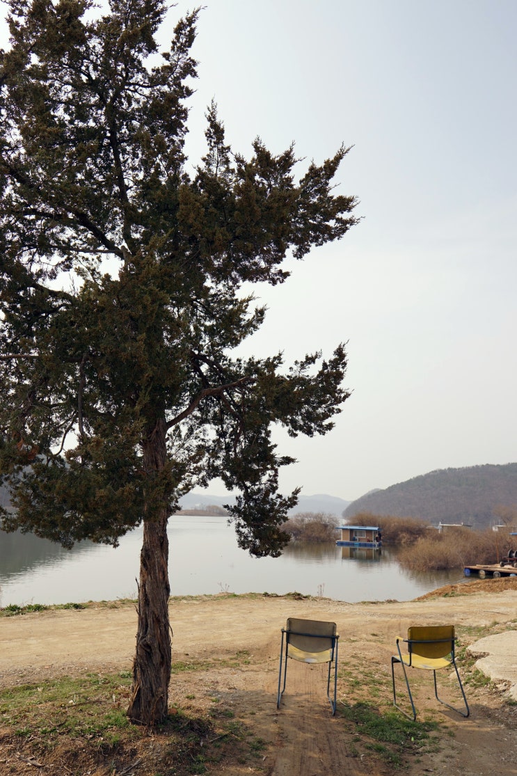  용인 이동저수지 송전장어직판장, 장어에 진심인 곳!