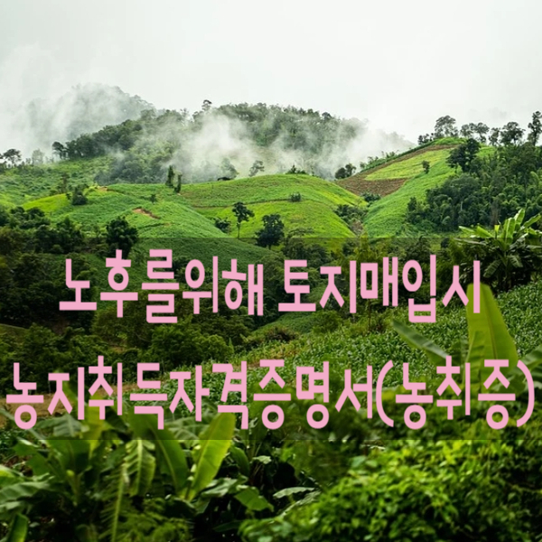  농업경영 목적의 농지취득 자격증명서(농취증)와 농업경영 계획서