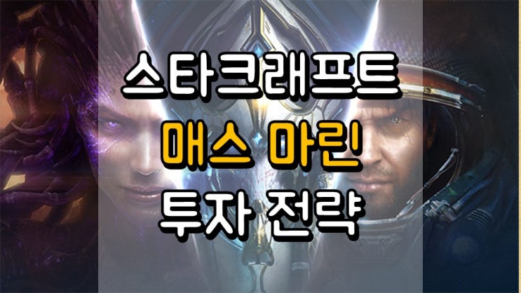  스타크래프트 매스 마린 투자 전략 - 버블을 외치는 소년