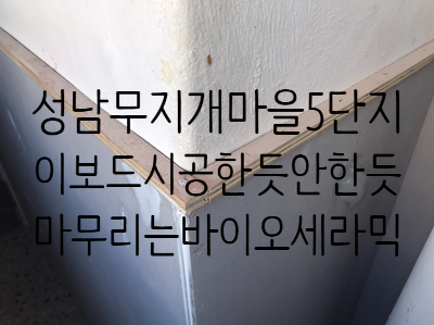  성남시 무지개마을5단지 이보드시공의 흔적을 탄성코트로 완벽히 없앤 전문가의 손길