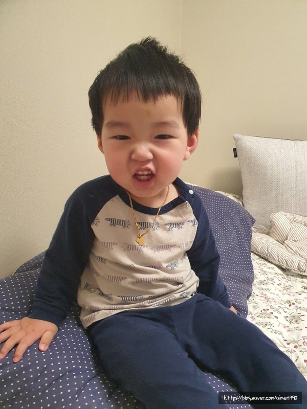 210319 오늘의 일상 /온택트 신혼부부 나무심기 당첨!