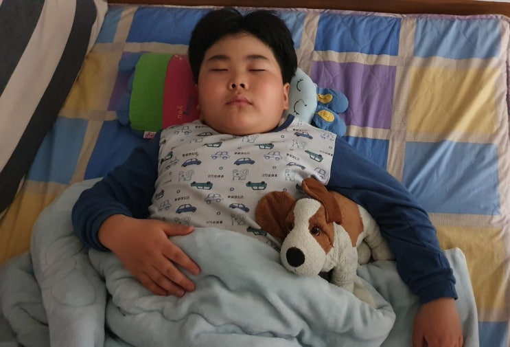  애착 물건/초등학생 애착인형/ 블랭킷 증후군/ 애착 강아지인형