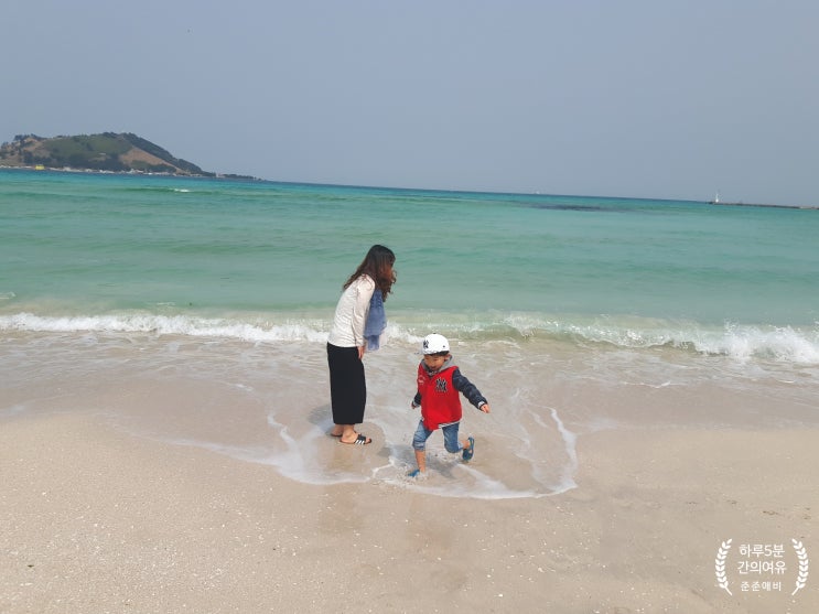  랜선으로 떠나는 지난 제주도 여행 ( 협재해수욕장, 한림수목원, 소인국테마파크, 산방산 유채꽃밭 )