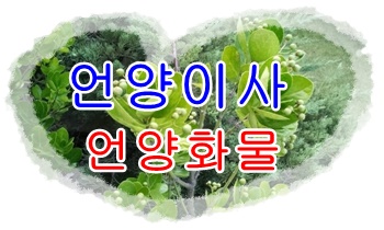 언양용달 상북 산내 소호리. 언양용달 상북 산내 소호리.