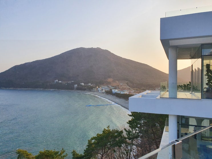  여수 모이핀