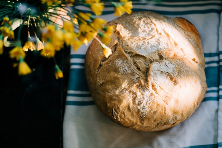 제빵기능사 Craftsman Breads Making