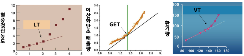 젖산 역치(lactate threshold, LT)에 대해 알아봅시다 [최종편] : 네이버 블로그