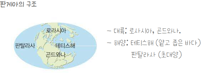  판게아와 판 이동의 역사
