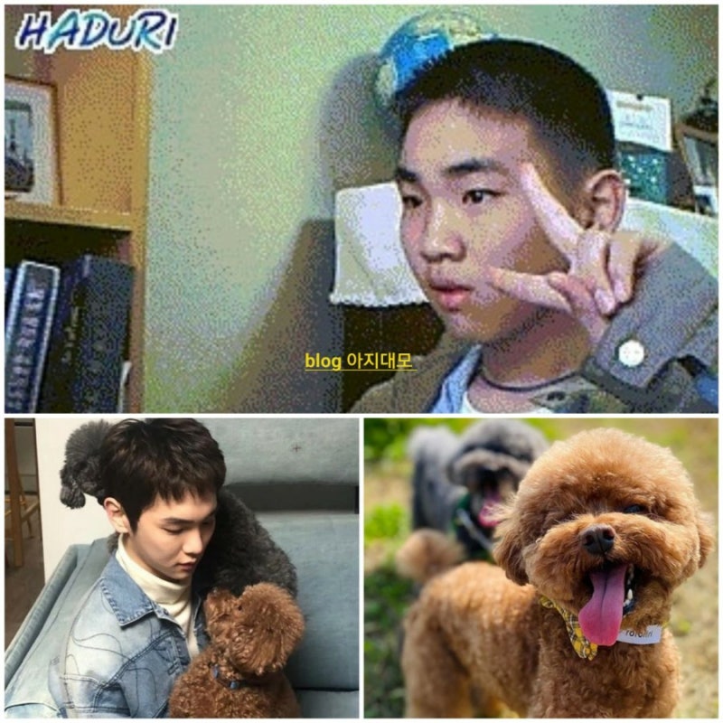 I Live Alone: SHINee Key's Age, Apartment Location, Father's Profession, and His Toy Poodle's Name