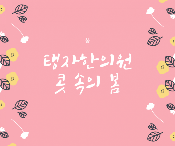  천천동한의원 탱자한의원 침으로 다스리는 비염 치료법