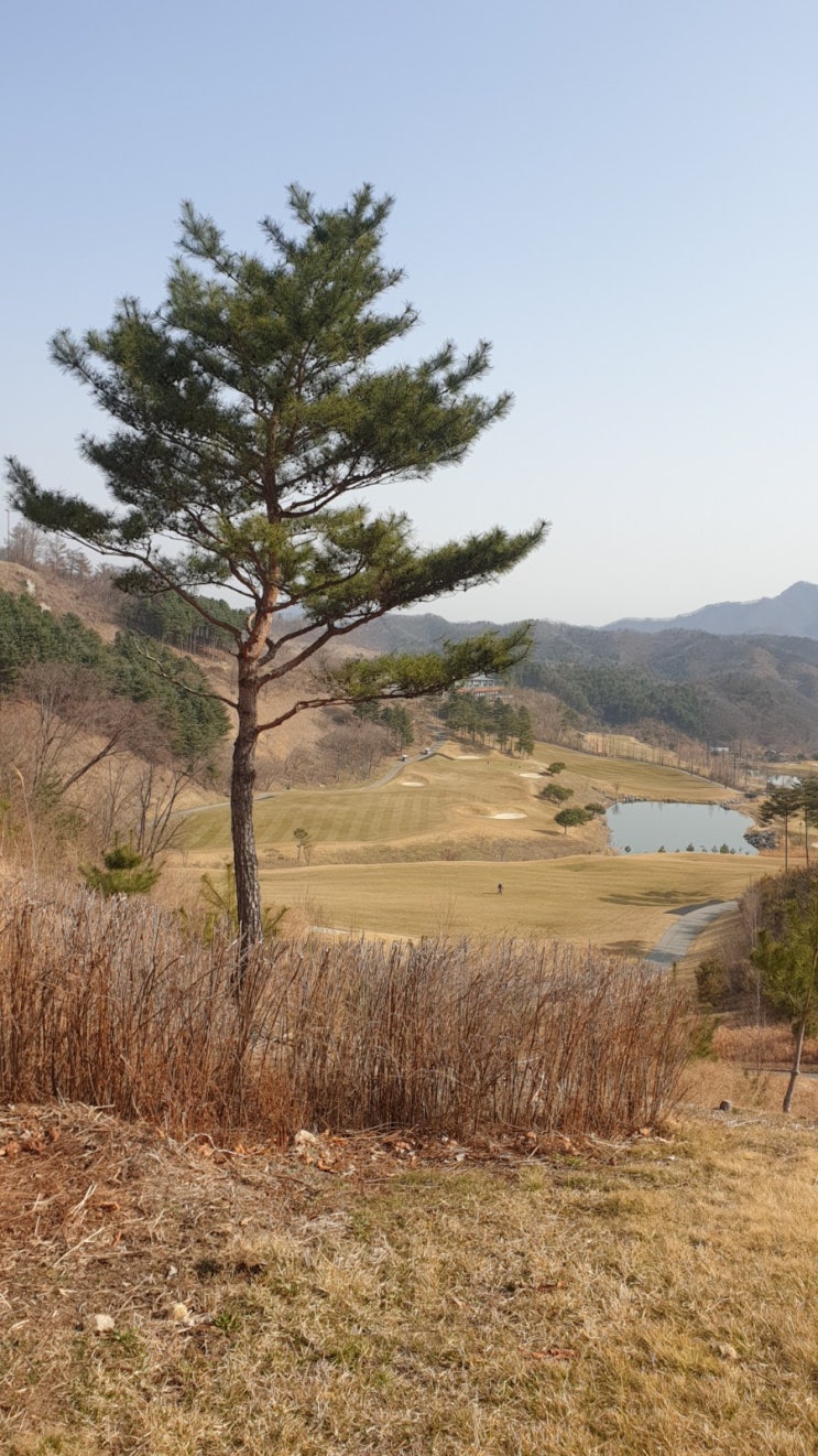  [리뷰볼래] 홍천 클럽모우 cc 골프장 다녀왔어요