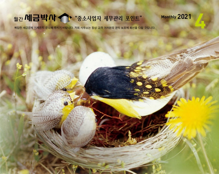  일시적 2주택자 양도세 비과세 요건