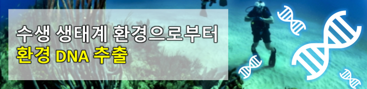  물 관련  DNA 샘플로 부터 DNA 를 추출하는 방법