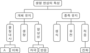 1-2. 종족 유지 현상 VS 개체 유지 현상