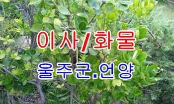 울주군용달 언양 반천.