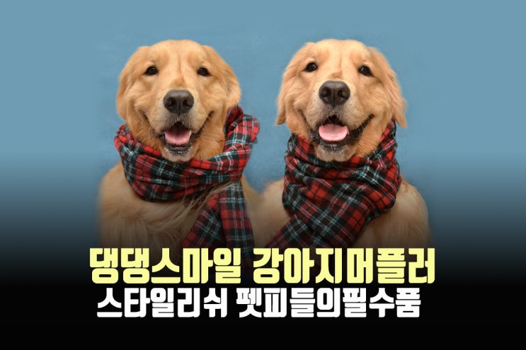  댕댕스마일 강아지머플러, 펫피들의 필수템