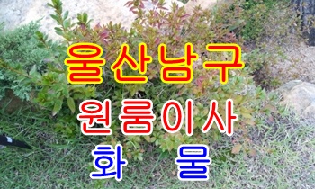 울산남구용달 달동 삼산동 운송.