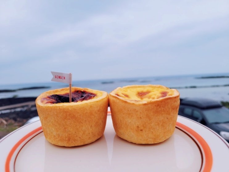  제주 세화카페 추천, 뷰도 좋고 에그타르트도 맛있는 <카페록록>