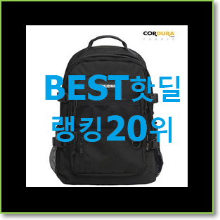  맘에드는 칼하트백팩 베스트 인기 순위 20위