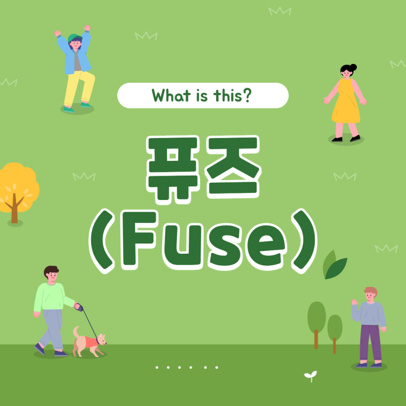 퓨즈 보우 시력 조명