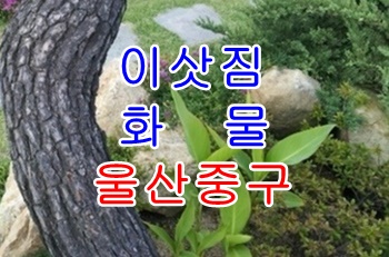 울산중구용달 다운동 우정동 운송.