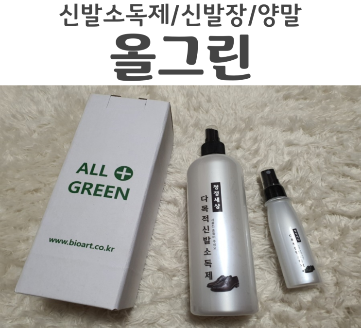  신발냄새제거제 올그린 다가올 여름을 대비하기 위한 신발소독제 리뷰