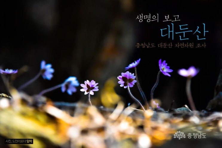 생명의 보고 대둔산 | 충남도청페이스북