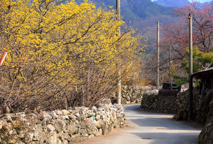 돌담길 따라 마을 구경, 군위 한밤 마을