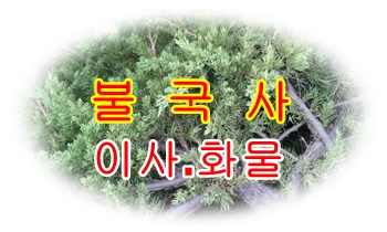 불국사용달 양북 출발합니다.