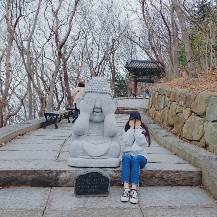  [여수 여행 2일차] 향일암 뚜벅이 여행, 윤가네 선어, 미가 칼국수