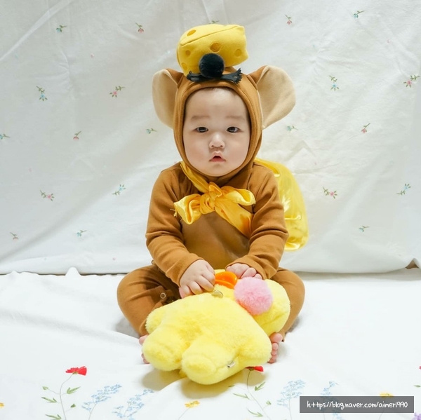  시우핏 시골쥐, 도시쥐 쫄쫄이 &우주복 판매개시!!!