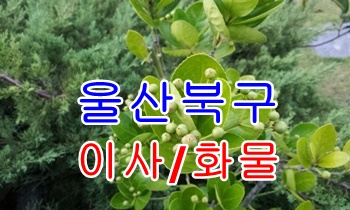 울산북구용달 호계 모화 입실.