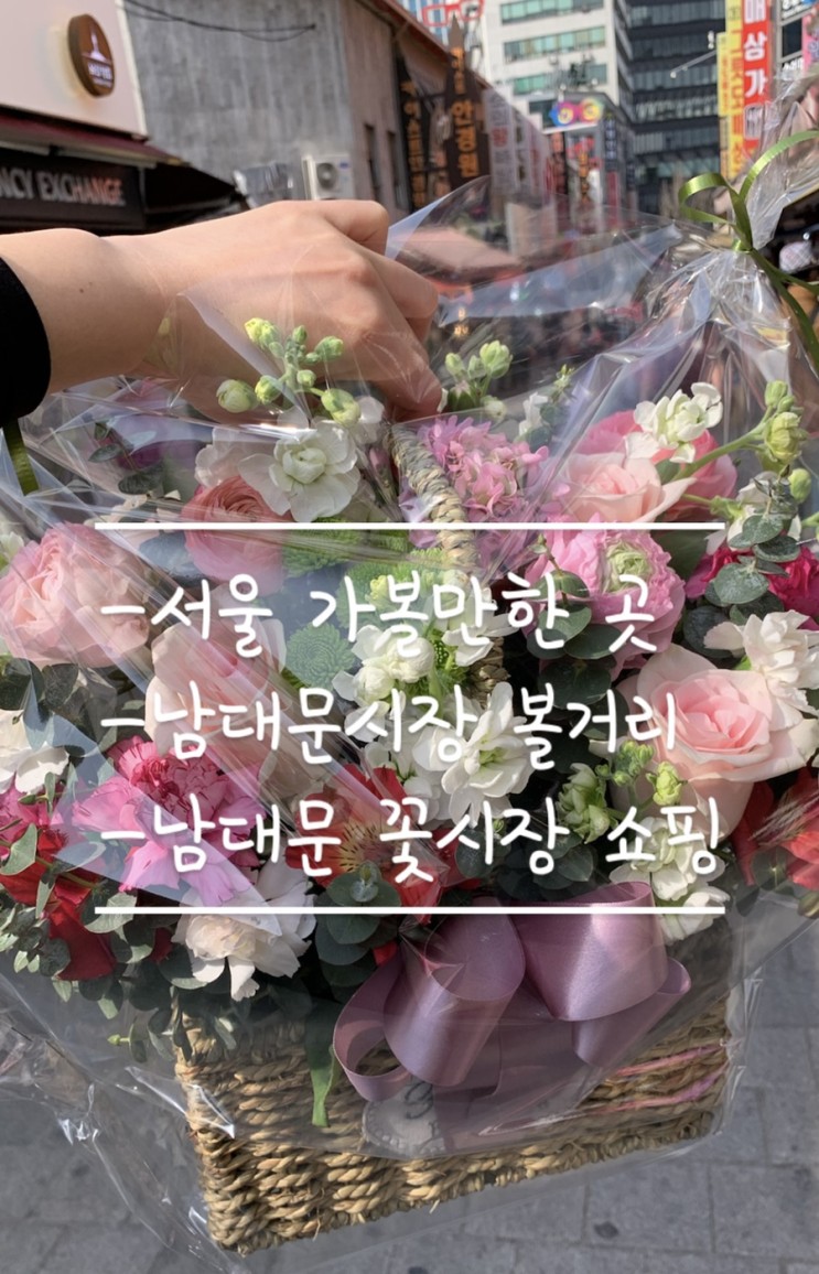 서울가볼만한곳 꽃시장구경,꽃시세 너무 좋은 남대문꽃시장 대도꽃상가