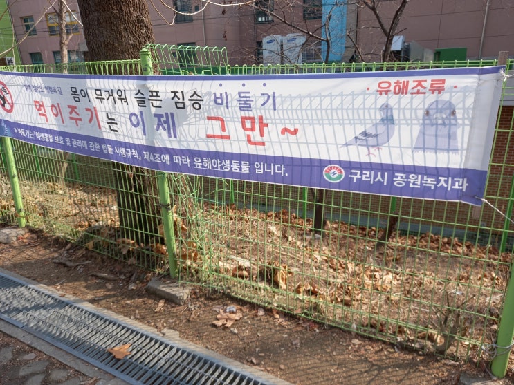 저에게는 옛날 추억의 장소였던 부양어린이공원