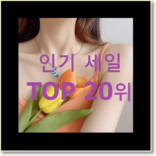  검증된 티파니앤코목걸이 구매 인기 랭킹 순위 20위