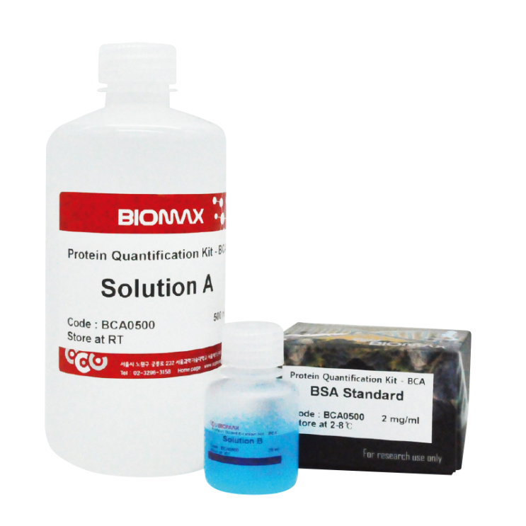  Protein Quantification Kit - BCA