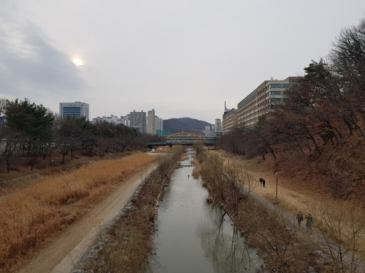  분당 수지 동막천 자전거길 따라 걸어보기! 분당 구미동 산책.