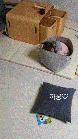  네이버 뭐하지 메인노출 됐어요!